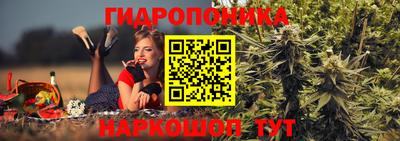 спиды Шелехов