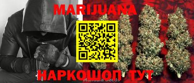 гидра Шахты